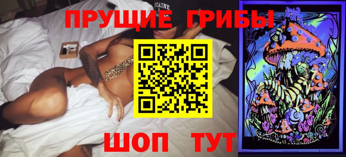 Псилоцибиновые грибы Cubensis Дагестанские Огни