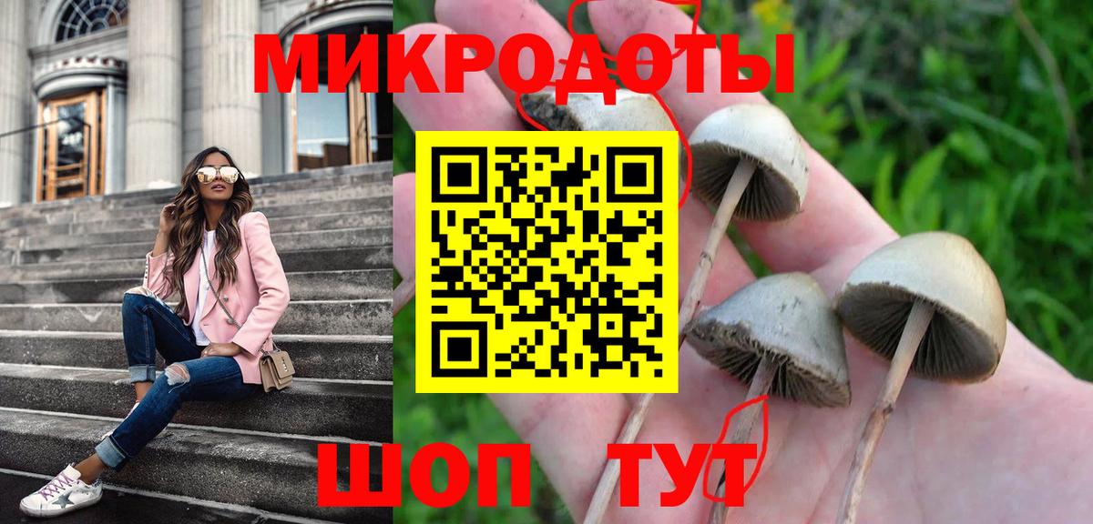 Дагестанские Огни  Галлюциногенные грибы Magic Shrooms  что такое   Галлюциногенные грибы GOLDEN TEACHER  Вход с VPN 